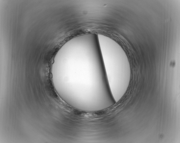X0000094350372200711021319
