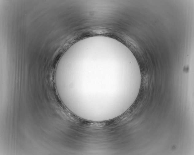 X0000094350373200711021319