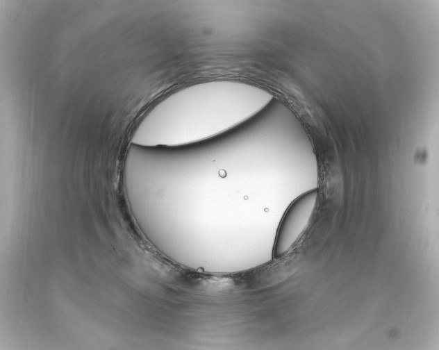 X0000094350374200711021319