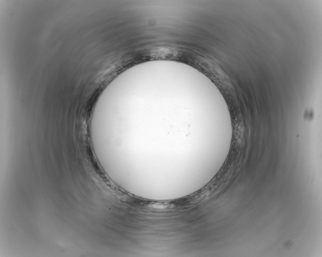 X0000094350375200711021319