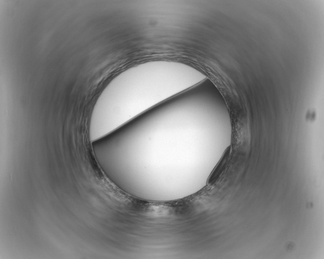 X0000094350376200711021319