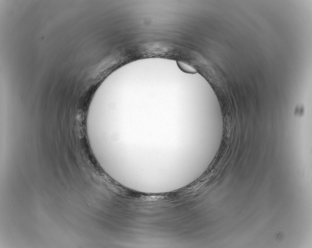 X0000094350378200711021319