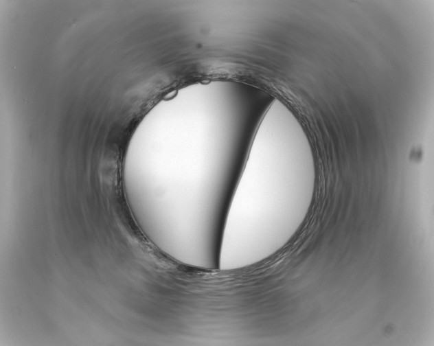 X0000094350379200711021319
