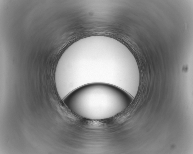 X0000094350380200711021319