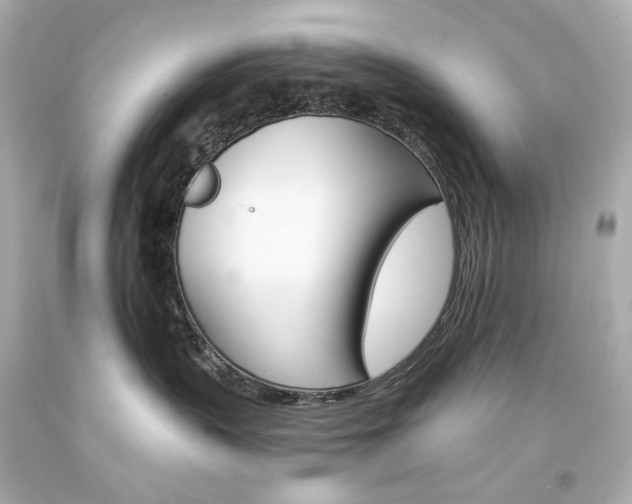 X0000094350383200711021319