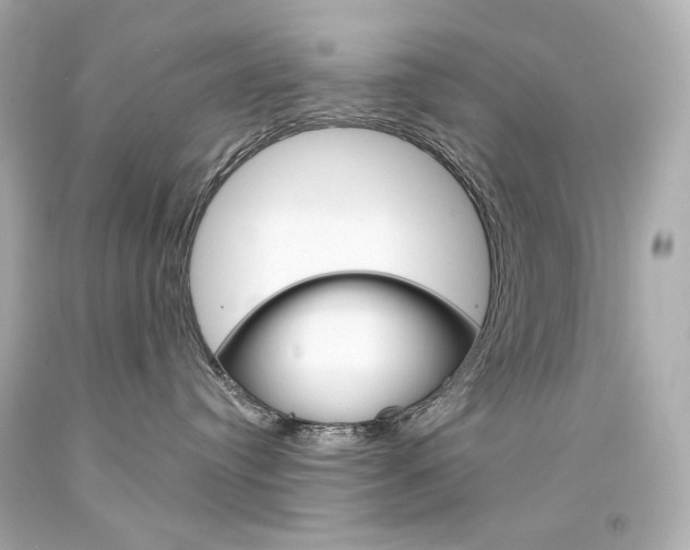 X0000094350384200711021319