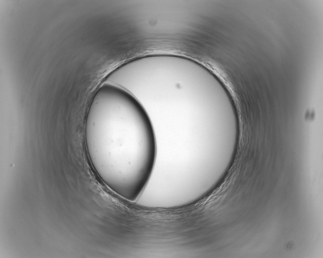 X0000094350385200711021318