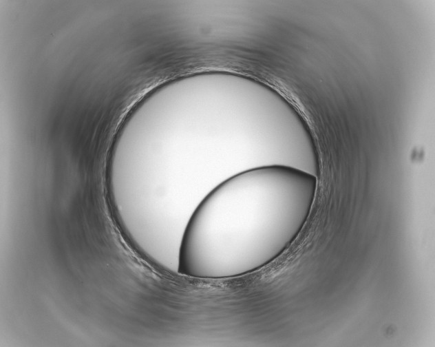 X0000094350386200711021318