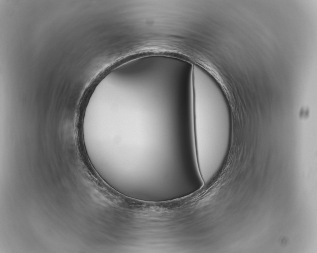 X0000094350387200711021318