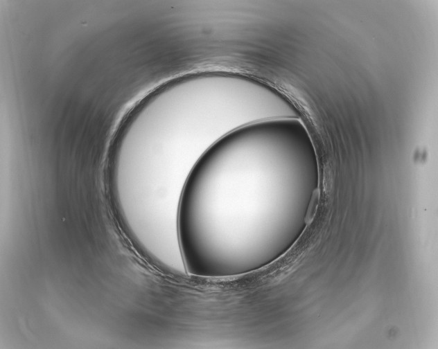 X0000094350388200711021318