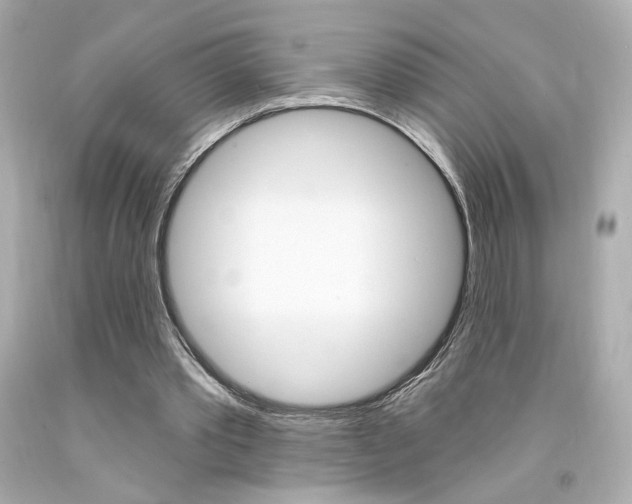 X0000094350389200711021318