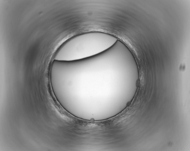 X0000094350390200711021318