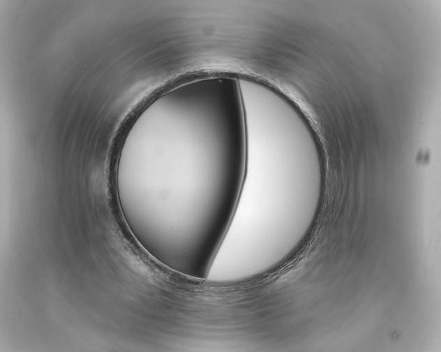 X0000094350391200711021318
