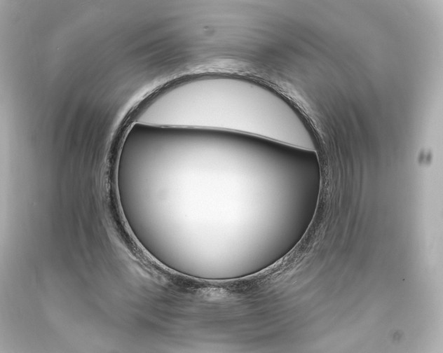 X0000094350392200711021318