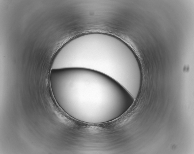 X0000094350393200711021318