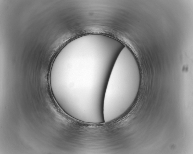 X0000094350394200711021318