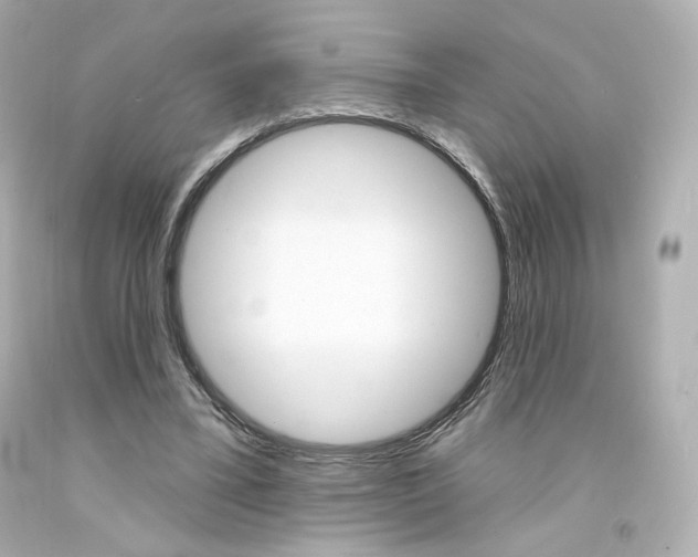 X0000094350395200711021318
