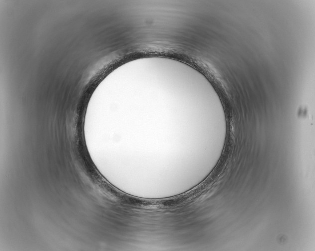 X0000094350396200711021318
