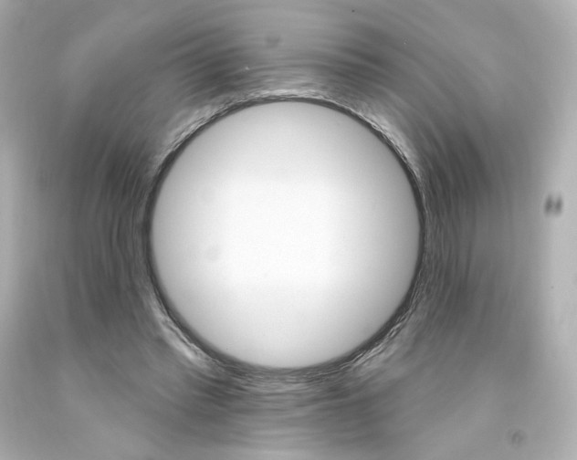 X0000094350397200711021318