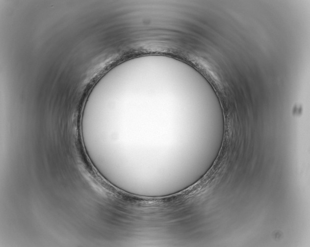 X0000094350398200711021318