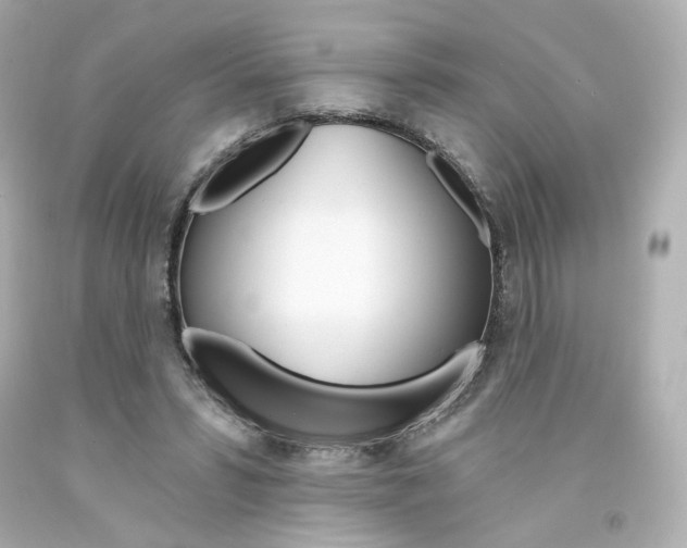 X0000094350399200711021318