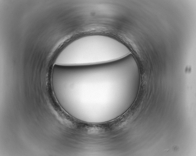 X0000094350400200711021318