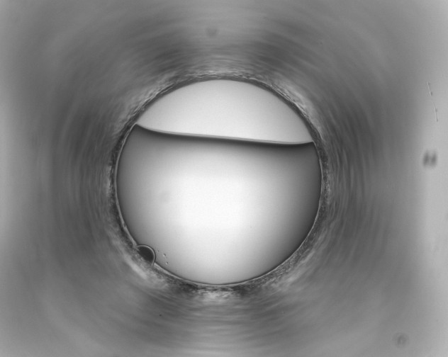 X0000094350401200711021318