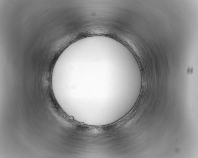 X0000094350402200711021318