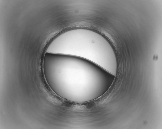 X0000094350403200711021318