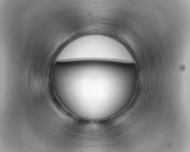 X0000094350404200711021318