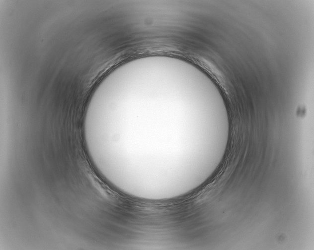 X0000094350405200711021318