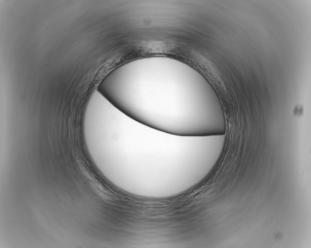 X0000094350406200711021318