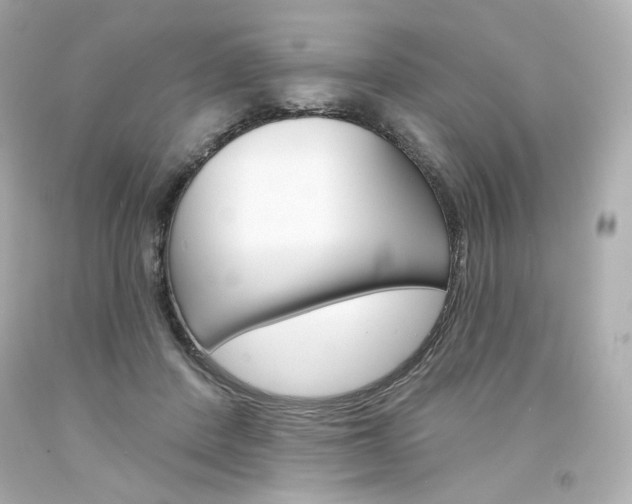 X0000094350408200711021318