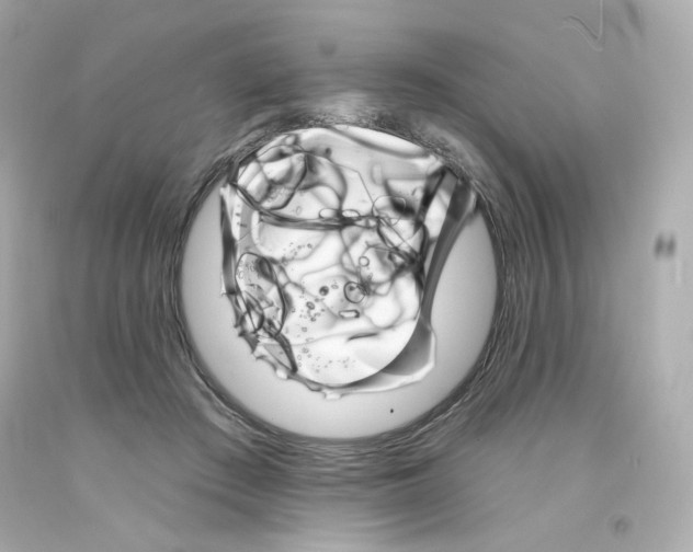 X0000094350409200711021318