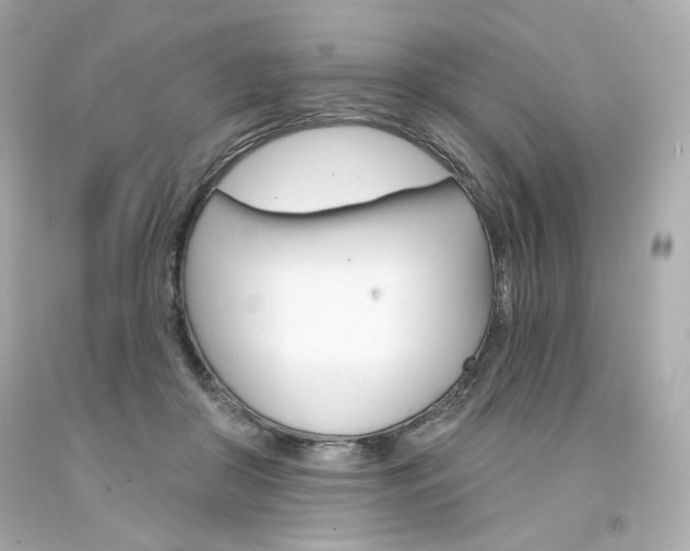 X0000094350410200711021318