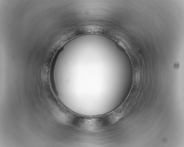 X0000094350411200711021318