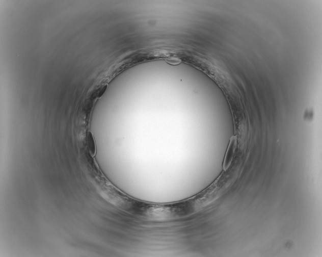 X0000094350413200711021318