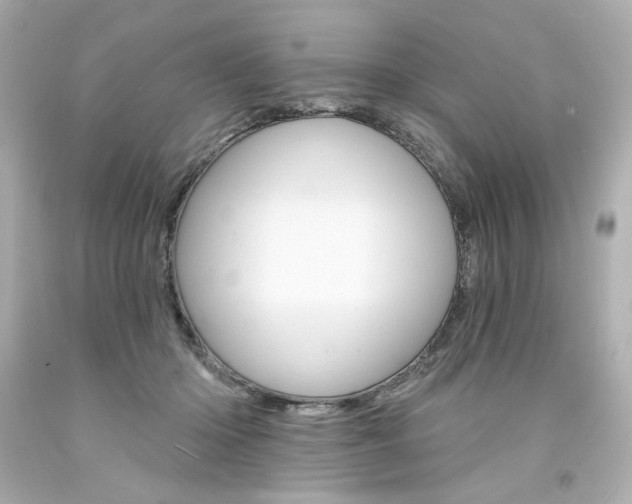 X0000094350414200711021318