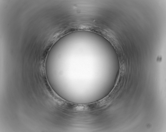 X0000094350415200711021318