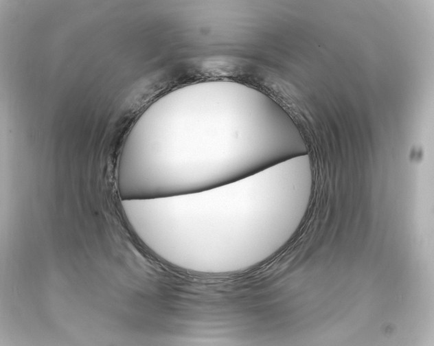 X0000094350418200711021318