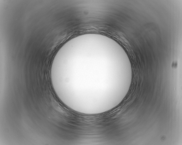 X0000094350419200711021318