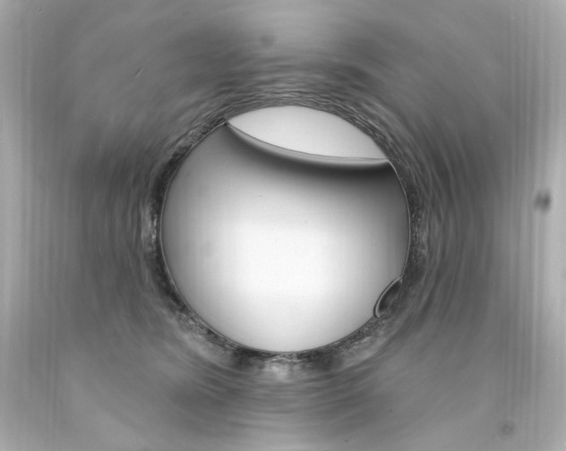 X0000094350420200711021318