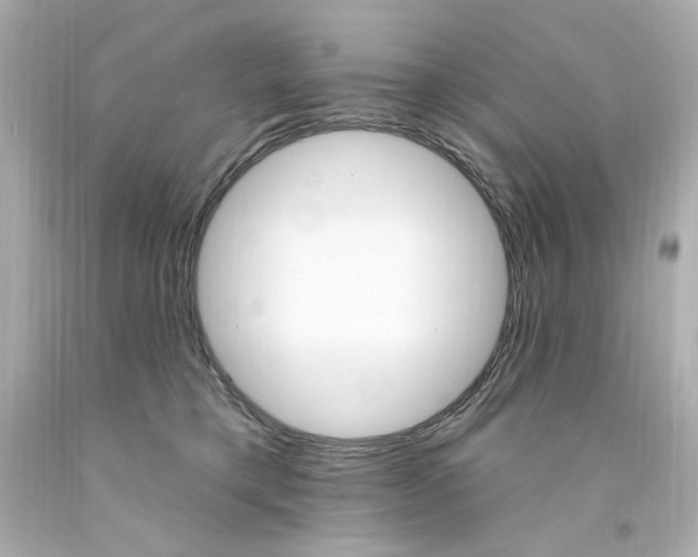 X0000094350421200711021318