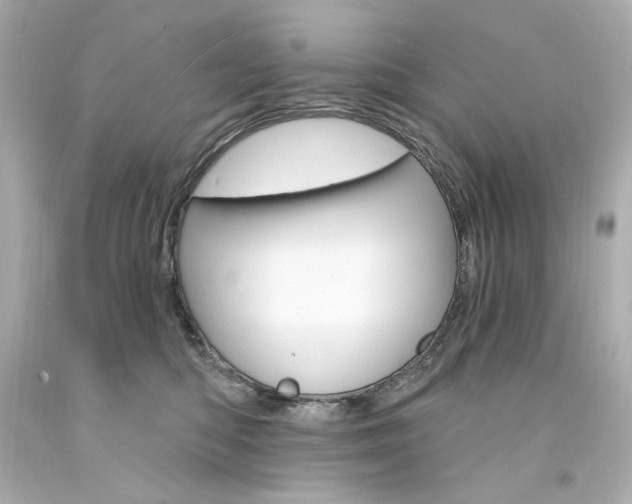 X0000094350422200711021318