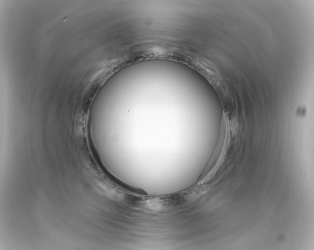 X0000094350423200711021318