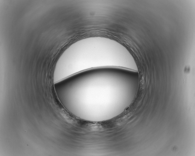 X0000094350424200711021318
