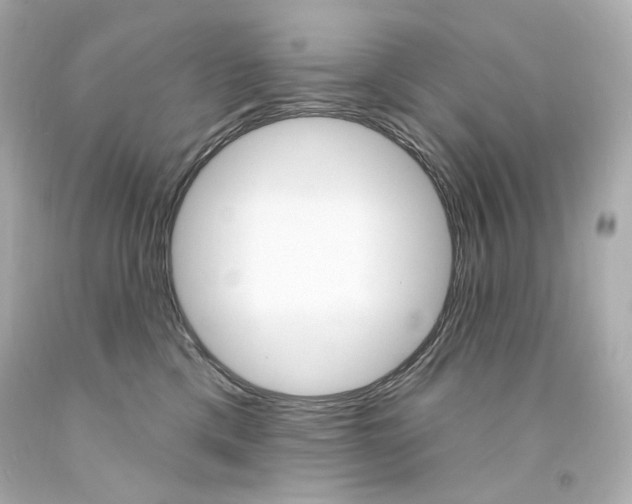 X0000094350425200711021318
