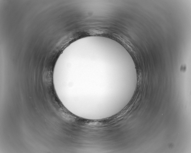 X0000094350426200711021318