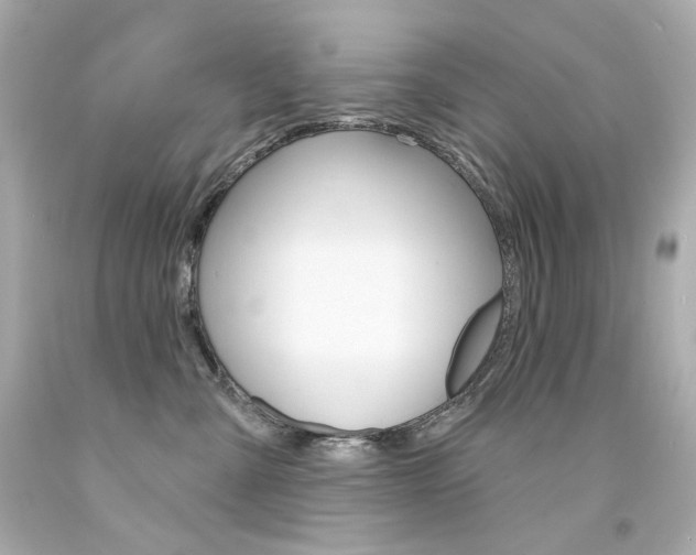 X0000094350427200711021318
