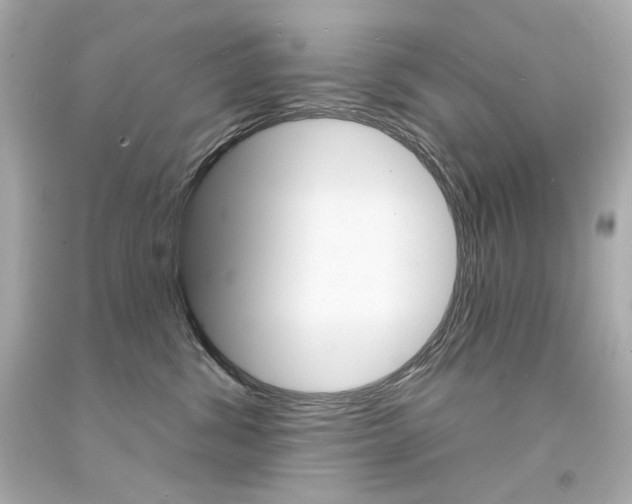 X0000094350428200711021318